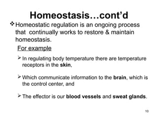 Homeostasis…cont’d
Homeostatic regulation is an ongoing process
that continually works to restore & maintain
homeostasis.
For example
In regulating body temperature there are temperature
receptors in the skin,
Which communicate information to the brain, which is
the control center, and
The effector is our blood vessels and sweat glands.
10
 