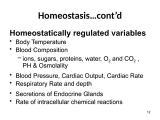 Homeostasis…cont’d
Homeostatically regulated variables
• Body Temperature
• Blood Composition
– ions, sugars, proteins, water, O2 and CO2 ,
PH & Osmolality
• Blood Pressure, Cardiac Output, Cardiac Rate
• Respiratory Rate and depth
• Secretions of Endocrine Glands
• Rate of intracellular chemical reactions
12
 