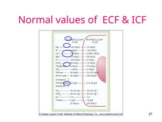 Normal values of ECF & ICF
27
 