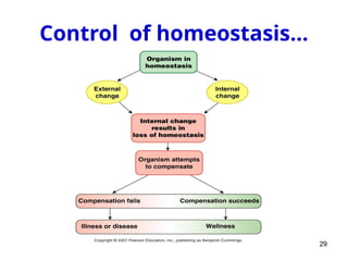 Control of homeostasis…
29
 