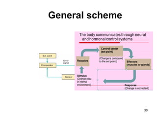 General scheme
30
 