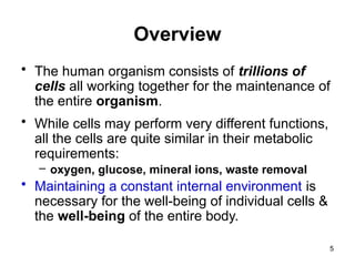 Overview
• The human organism consists of trillions of
cells all working together for the maintenance of
the entire organism.
• While cells may perform very different functions,
all the cells are quite similar in their metabolic
requirements:
– oxygen, glucose, mineral ions, waste removal
• Maintaining a constant internal environment is
necessary for the well-being of individual cells &
the well-being of the entire body.
5
 