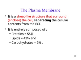 The Plasma Membrane
• It is a sheet-like structure that surround
(enclose) the cell, separating the cellular
contents from the ECF.
• It is entirely composed of :
– Proteins = 55%
– Lipids = 43% and
– Carbohydrates = 2% .
57
 