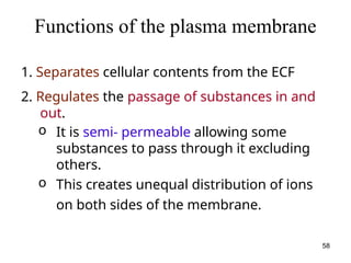 Functions of the plasma membrane
1. Separates cellular contents from the ECF
2. Regulates the passage of substances in and
out.
o It is semi- permeable allowing some
substances to pass through it excluding
others.
o This creates unequal distribution of ions
on both sides of the membrane.
58
 