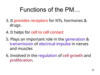 Functions of the PM…
3. It provides receptors for NTs, hormones &
drugs.
4. It helps for cell to cell contact
5. Plays an important role in the generation &
transmission of electrical impulse in nerves
and muscles
6. Involved in the regulation of cell growth and
proliferation.
59
 