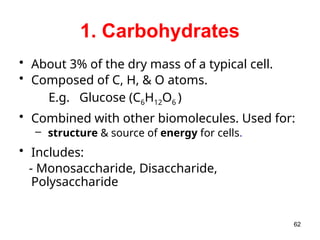 1. Carbohydrates
• About 3% of the dry mass of a typical cell.
• Composed of C, H, & O atoms.
E.g. Glucose (C6H12O6 )
• Combined with other biomolecules. Used for:
– structure & source of energy for cells.
• Includes:
- Monosaccharide, Disaccharide,
Polysaccharide
62
 