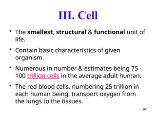 III. Cell
• The smallest, structural & functional unit of
life.
• Contain basic characteristics of given
organism.
• Numerous in number & estimates being 75 -
100 trillion cells in the average adult human.
• The red blood cells, numbering 25 trillion in
each human being, transport oxygen from
the lungs to the tissues.
67
 