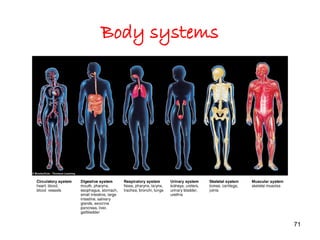 Body systems
71
 