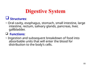 Digestive System
 Structures:
~ Oral cavity, esophagus, stomach, small intestine, large
intestine, rectum, salivary glands, pancreas, liver,
gallbladder.
 Functions:
~ Ingestion and subsequent breakdown of food into
absorbable units that will enter the blood for
distribution to the body’s cells.
83
 