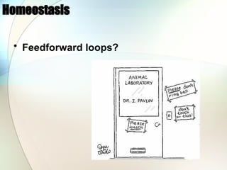 Homeostasis
• Feedforward loops?
 