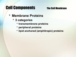 Cell Components The Cell Membrane
• Membrane Proteins
• 3 categories
• transmembrane proteins
• peripheral proteins
• lipid anchored (amphitropic) proteins
 