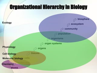 Organizational Hierarchy in Biology
atoms
molecules
cells
tissues
organs
organ systems
organisms
population
community
ecosystem
biosphere
Chemistry
Ecology
Physiology
Cell biology
Molecular biology
 
