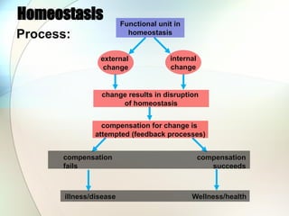 Homeostasis Functional unit in
homeostasis
external
change
internal
change
change results in disruption
of homeostasis
compensation for change is
attempted (feedback processes)
compensation
fails
compensation
succeeds
illness/disease Wellness/health
Process:
 