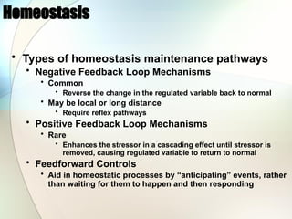 Homeostasis
• Types of homeostasis maintenance pathways
• Negative Feedback Loop Mechanisms
• Common
• Reverse the change in the regulated variable back to normal
• May be local or long distance
• Require reflex pathways
• Positive Feedback Loop Mechanisms
• Rare
• Enhances the stressor in a cascading effect until stressor is
removed, causing regulated variable to return to normal
• Feedforward Controls
• Aid in homeostatic processes by “anticipating” events, rather
than waiting for them to happen and then responding
 