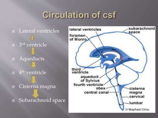 cerebrospinal fluid | PPTX