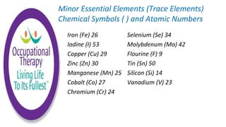 Iron (Fe) 26
Iodine (I) 53
Copper (Cu) 29
Zinc (Zn) 30
Manganese (Mn) 25
Cobalt (Co) 27
Chromium (Cr) 24
Selenium (Se) 34
Molybdenum (Mo) 42
Flourine (F) 9
Tin (Sn) 50
Silicon (Si) 14
Vanadium (V) 23
Minor Essential Elements (Trace Elements)
Chemical Symbols ( ) and Atomic Numbers
 