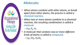 Human Physiology Chemistry | PPTX