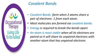 Covalent Bonds
• Covalent Bonds- form when 2 atoms share a
pair of electrons- 1 from each atom.
• Most molecules are formed via covalent bonds.
• Energy is required to break the bonds apart.
• An atom is most stable when all its electrons are
paired so it will share its unpaired electrons with
another atom that has unpaired electrons
 