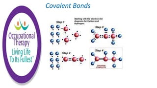 Covalent Bonds
 
