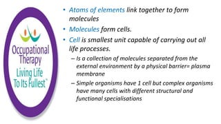 • Atoms of elements link together to form
molecules
• Molecules form cells.
• Cell is smallest unit capable of carrying out all
life processes.
– Is a collection of molecules separated from the
external environment by a physical barrier= plasma
membrane
– Simple organisms have 1 cell but complex organisms
have many cells with different structural and
functional specialisations
 
