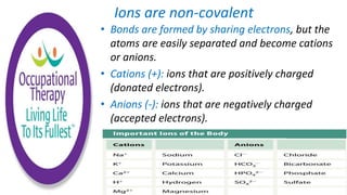 Ions are non-covalent
• Bonds are formed by sharing electrons, but the
atoms are easily separated and become cations
or anions.
• Cations (+): ions that are positively charged
(donated electrons).
• Anions (-): ions that are negatively charged
(accepted electrons).
 