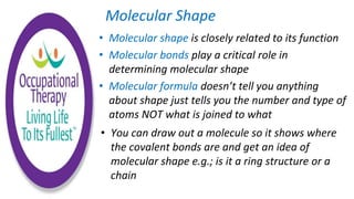 • Molecular shape is closely related to its function
• Molecular bonds play a critical role in
determining molecular shape
• Molecular formula doesn’t tell you anything
about shape just tells you the number and type of
atoms NOT what is joined to what
Molecular Shape
• You can draw out a molecule so it shows where
the covalent bonds are and get an idea of
molecular shape e.g.; is it a ring structure or a
chain
 