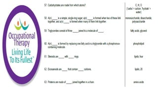 Human Physiology Chemistry