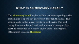 HUMAN PHYSIOLOGY NEET PPT.pptx