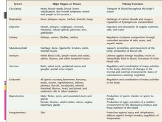Human physiology part 1 | PPTX