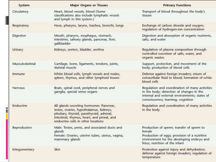 Human physiology part 1