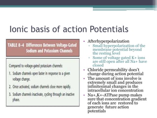 Ionic basis of action PotentialsAfterhyperpolarizationSmall hyperpolarization of the membrane potential beyond the resting levelSome of voltage gated K+ ions are still open after all Na+ have closedChloride permeability does’t change during action potentialThe amount of ions involve is extremely small and produces infinitesimal changes in the intracellular ion concentrationNa+,K+-ATPase pump makes sure that concentration gradient of each ions are  restored to generate  future action potentials