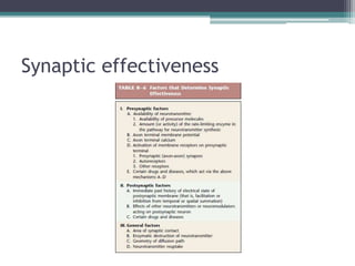 Synaptic effectiveness