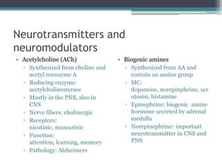 Neurotransmitters and neuromodulatorsAcetylcholine (ACh)Synthesized from choline and acetyl coenzyme AReducing enzyme: acetylcholinesteraseMostly in the PNS, also in CNSNerve fibers: cholinergicReceptors: nicotinic, muscarinicFunction: attention, learning, memoryPathology: AlzheimersBiogenic aminesSynthesized from AA and contain an amino groupMC: dopamine, norepinphrine, serotonin, histamineEpinephrine: biogenic  amine hormone secreted by adrenal medullaNorepinephrine: important neurotransmitter in CNS and PNS