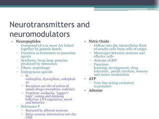 Neurotransmitters and neuromodulatorsNeuropeptidesComposed of 2 or more AA linked together by peptide bondsFunction as hormones or paracrine agentsSynthesis: from large proteins produced by ribosomesFibers: peptidergicEndogenous opioidsB-endorphin, dynorphins, enkephalinsReceptors are site of action of  opiate drugs (morphine, codeine)Function: analgesia, “jogger’s high”, eating and drinking behavior, CVS regulation, mood and behaviorSubstance PReleased by afferent neuronsRelay sensory information into the CNSNitric OxideDiffuse into the intracellular fluid of nearby cells from cells of originMessenger between neurons and effector cellsActivate cGMPFunction: learning, development, drug tolerance,  penile erection, sensory and motor modulationATPVery fast acting excitatory transmitterAdenine