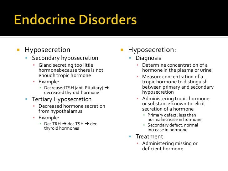 Human physiology part 6