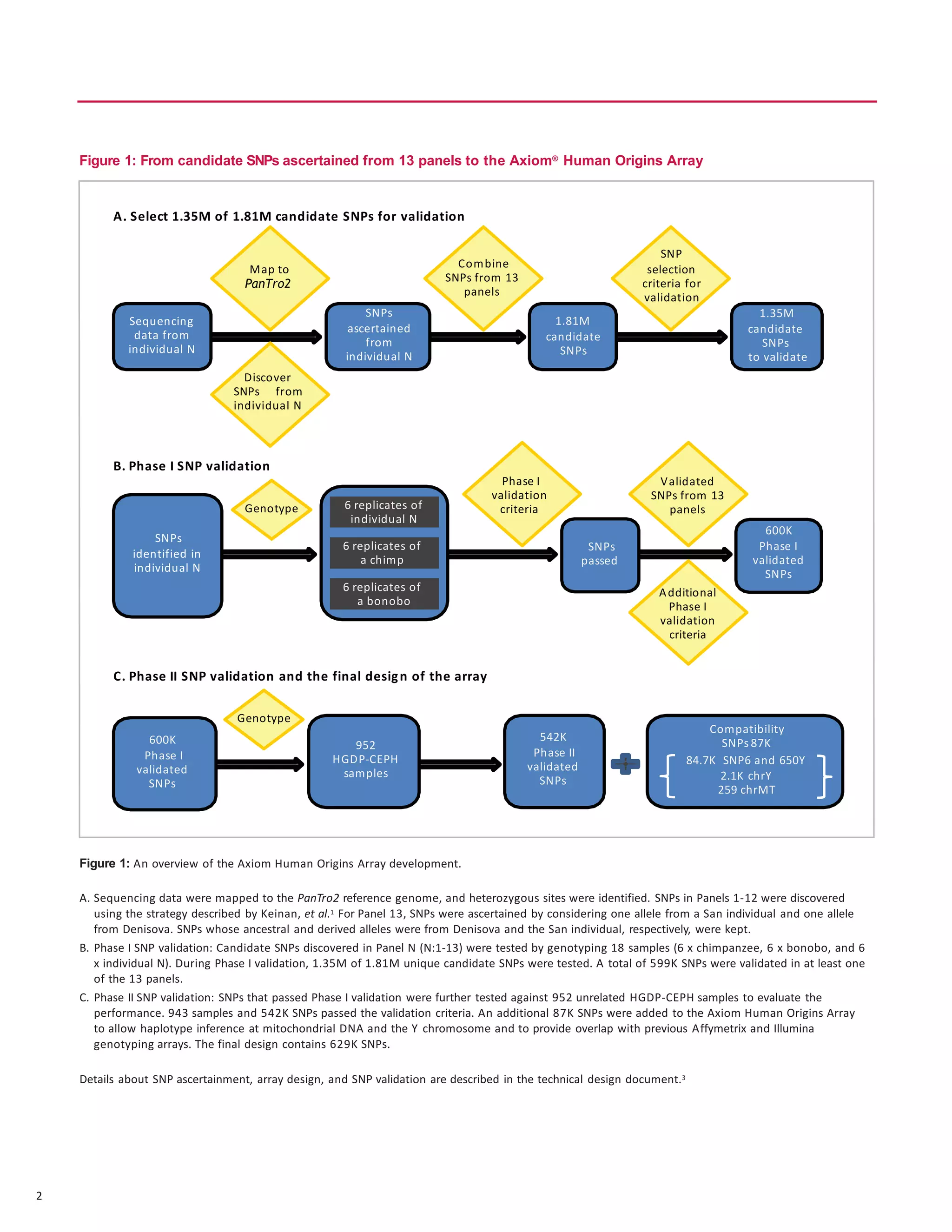 2
1.81M
candidate
SNPs
Sequencing
data from
individual N
SNPs
ascertained
from
individual N
1.35M
candidate
SNPs
to validate
B. Phase I SNP validation
6 replicates of
individual N
SNPs
passed
6 replicates of
a chimp
6 replicates of
a bonobo
600K
Phase I
validated
SNPs
SNPs
identified in
individual N
C. Phase II SNP validation and the final design of the array
542K
Phase II
validated
SNPs
600K
Phase I
validated
SNPs
952
HGDP-CEPH
samples
Compatibility
SNPs 87K
84.7K SNP6 and 650Y
2.1K chrY
259 chrMT
Discover
SNPs from
individual N
Map to
PanTro2
Combine
SNPs from 13
panels
SNP
selection
criteria for
validation
Validated
SNPs from 13
panels
Additional
Phase I
validation
criteria
Phase I
validation
criteriaGenotype
Genotype
Figure 1: From candidate SNPs ascertained from 13 panels to the Axiom®
Human Origins Array
A. Select 1.35M of 1.81M candidate SNPs for validation
Figure 1: An overview of the Axiom Human Origins Array development.
A. Sequencing data were mapped to the PanTro2 reference genome, and heterozygous sites were identified. SNPs in Panels 1-12 were discovered
using the strategy described by Keinan, et al.1 For Panel 13, SNPs were ascertained by considering one allele from a San individual and one allele
from Denisova. SNPs whose ancestral and derived alleles were from Denisova and the San individual, respectively, were kept.
B. Phase I SNP validation: Candidate SNPs discovered in Panel N (N:1-13) were tested by genotyping 18 samples (6 x chimpanzee, 6 x bonobo, and 6
x individual N). During Phase I validation, 1.35M of 1.81M unique candidate SNPs were tested. A total of 599K SNPs were validated in at least one
of the 13 panels.
C. Phase II SNP validation: SNPs that passed Phase I validation were further tested against 952 unrelated HGDP-CEPH samples to evaluate the
performance. 943 samples and 542K SNPs passed the validation criteria. An additional 87K SNPs were added to the Axiom Human Origins Array
to allow haplotype inference at mitochondrial DNA and the Y chromosome and to provide overlap with previous Affymetrix and Illumina
genotyping arrays. The final design contains 629K SNPs.
Details about SNP ascertainment, array design, and SNP validation are described in the technical design document.3
 