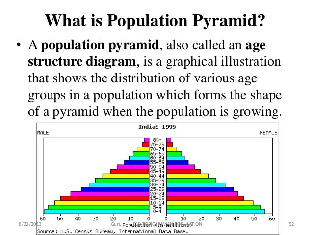 population pyramid definition