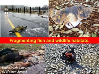 Fragmenting fish and wildlife habitats.
Undesirable Impacts
Of Human Sprawl
 