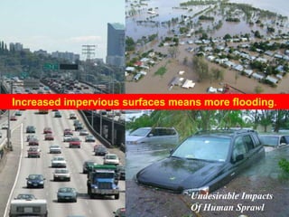 Increased impervious surfaces means more flooding.
Undesirable Impacts
Of Human Sprawl
 