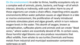 On the environment:-In order to thrive, healthy ecosystems rely on
a complex web of animals, plants, bacteria, and fungi—all of which
interact, directly or indirectly, with each other. Harm to any of
these organisms can create a chain effect, imperiling entire aquatic
environments.When water pollution causes an algal bloom in a lake
or marine environment, the proliferation of newly introduced
nutrients stimulates plant and algae growth, which in turn reduces
oxygen levels in the water. This dearth of oxygen, known as
eutrophication, suffocates plants and animals and can create “dead
zones,” where waters are essentially devoid of life. In certain cases,
these harmful algal blooms can also produce neurotoxins that
affect wildlife, from whales to sea turtles.Chemicals and heavy
metals from industrial and municipal wastewater contaminate
waterways as well.
 