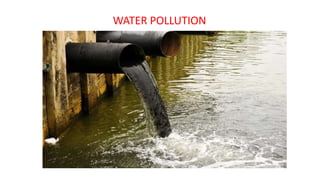 WATER POLLUTION
 