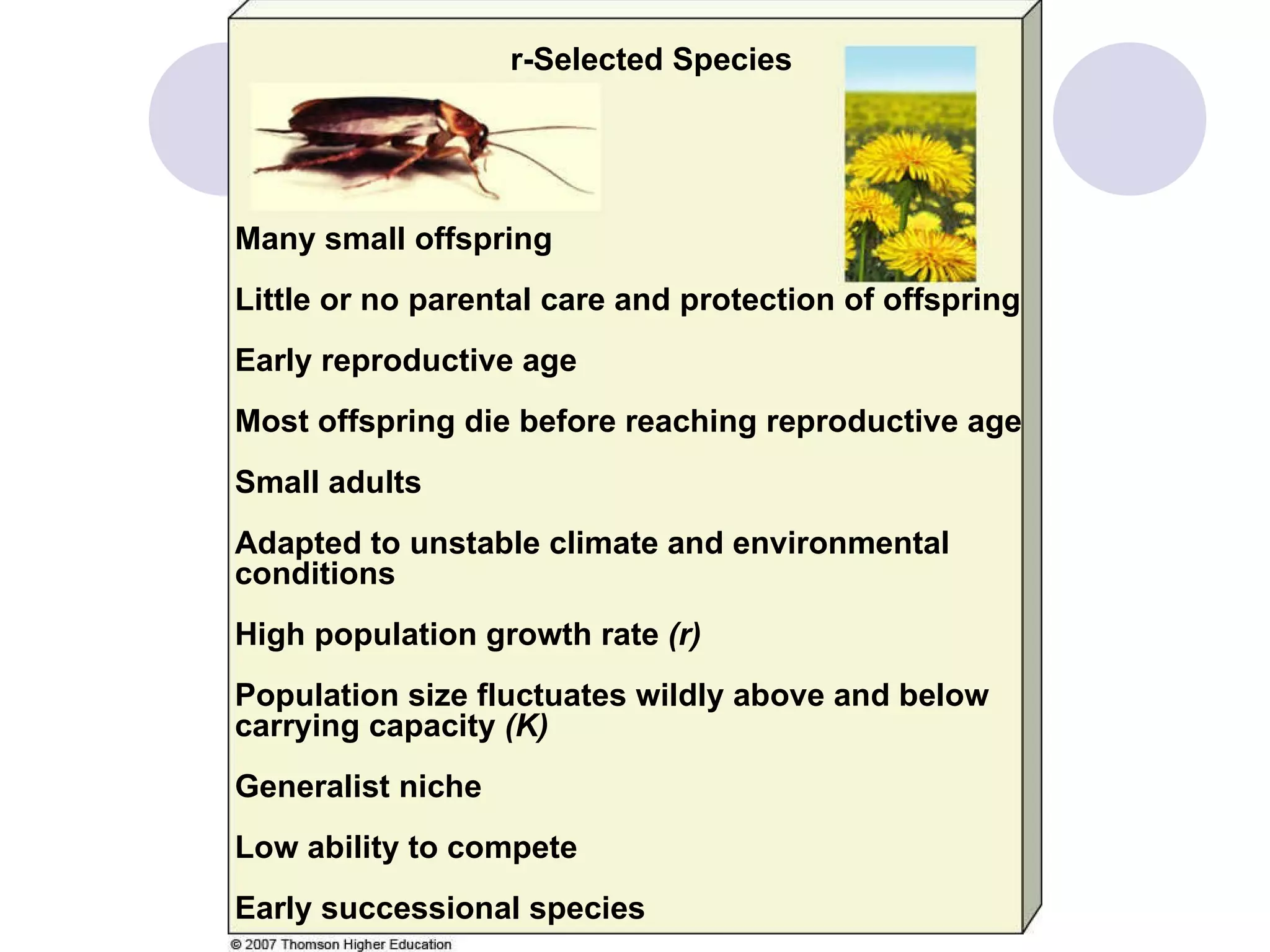 Many small offspring Little or no parental care and protection of offspring Early reproductive age Most offspring die before reaching reproductive age Small adults Adapted to unstable climate and environmental conditions High population growth rate  (r) Population size fluctuates wildly above and below carrying capacity  (K) Generalist niche Low ability to compete Early successional species r-Selected Species 