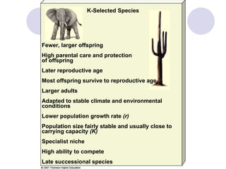 Fewer, larger offspring High parental care and protection  of offspring Later reproductive age Most offspring survive to reproductive age Larger adults Adapted to stable climate and environmental conditions Lower population growth rate  (r) Population size fairly stable and usually close to carrying capacity  (K) Specialist niche High ability to compete Late successional species K-Selected Species 