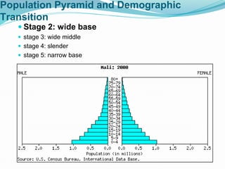 Population Pyramid and Demographic
Transition
 Stage 2: wide base
 stage 3: wide middle
 stage 4: slender
 stage 5: narrow base
 
