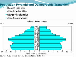 Population Pyramid and Demographic Transition
 Stage 2: wide base
 stage 3: wide middle
 stage 4: slender
 stage 5: narrow base
 