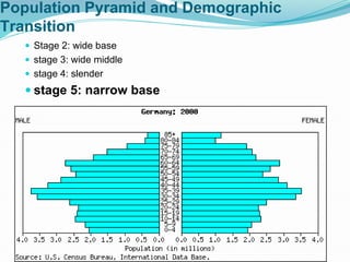 Population Pyramid and Demographic
Transition
 Stage 2: wide base
 stage 3: wide middle
 stage 4: slender
 stage 5: narrow base
 