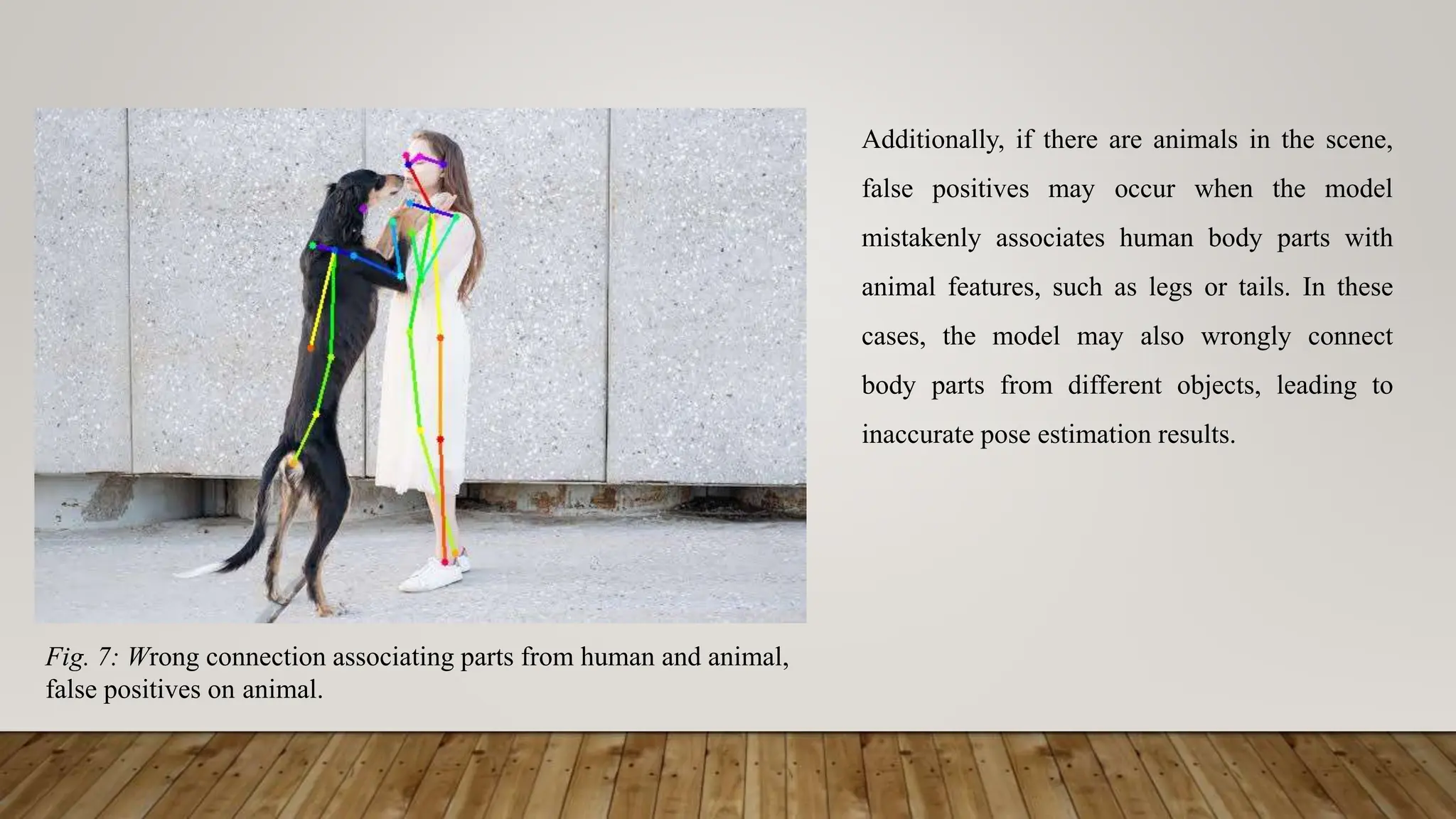 Fig. 7: Wrong connection associating parts from human and animal,
false positives on animal.
Additionally, if there are animals in the scene,
false positives may occur when the model
mistakenly associates human body parts with
animal features, such as legs or tails. In these
cases, the model may also wrongly connect
body parts from different objects, leading to
inaccurate pose estimation results.
 