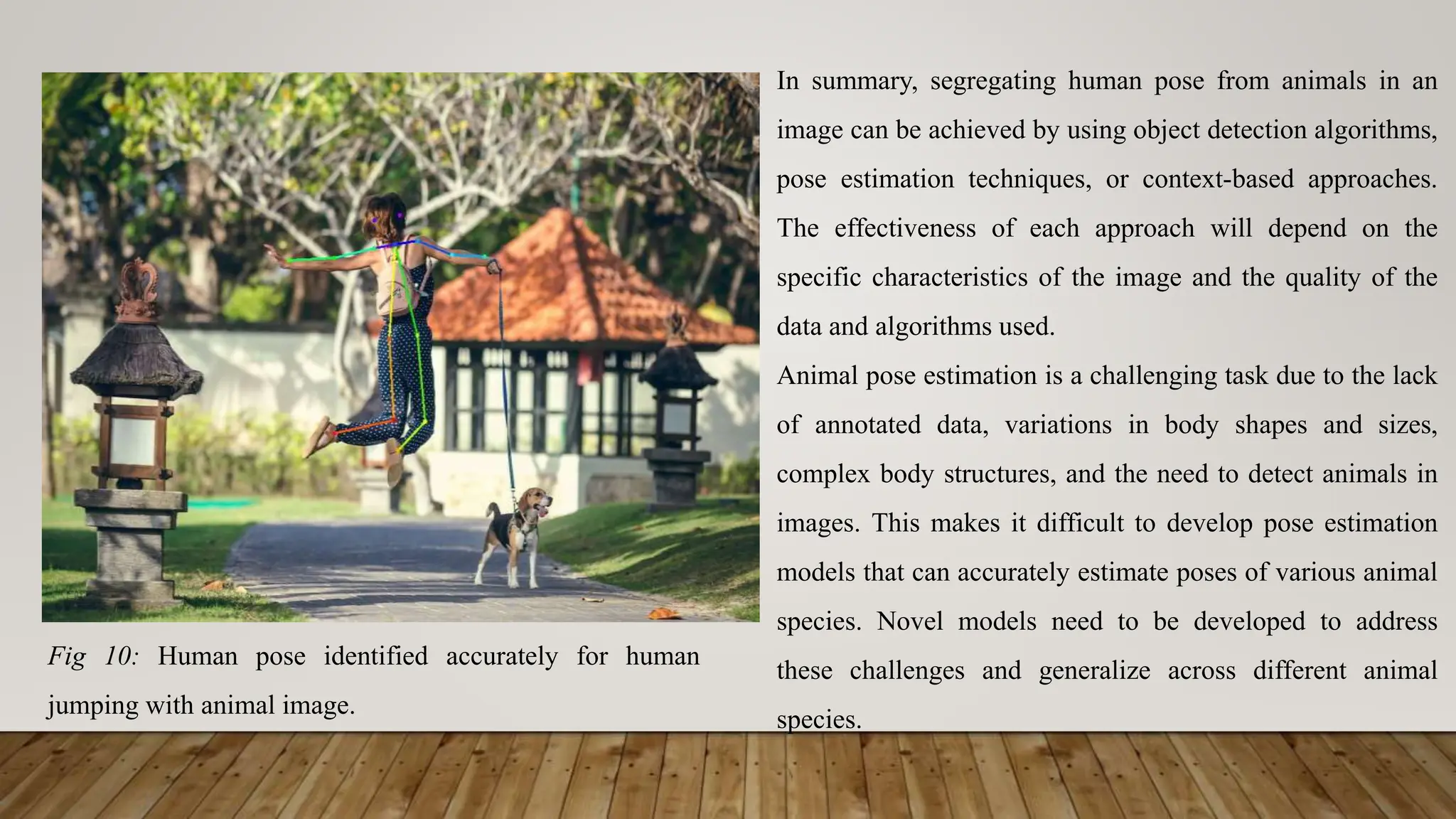Fig 10: Human pose identified accurately for human
jumping with animal image.
In summary, segregating human pose from animals in an
image can be achieved by using object detection algorithms,
pose estimation techniques, or context-based approaches.
The effectiveness of each approach will depend on the
specific characteristics of the image and the quality of the
data and algorithms used.
Animal pose estimation is a challenging task due to the lack
of annotated data, variations in body shapes and sizes,
complex body structures, and the need to detect animals in
images. This makes it difficult to develop pose estimation
models that can accurately estimate poses of various animal
species. Novel models need to be developed to address
these challenges and generalize across different animal
species.
 