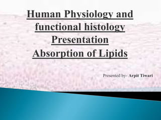 Human Physiology and
functional histology
Presentation
Absorption of Lipids
Presented by- Arpit Tiwari
 