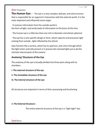 Assignment On Eye Human psychology assignment | PDF